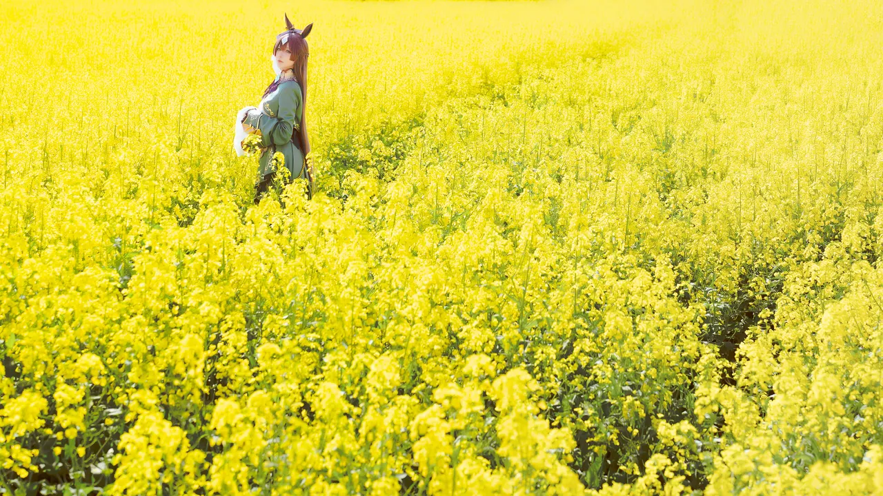 星之迟迟 - 赛马娘里见光钻梦想的回应-erohere2.webp